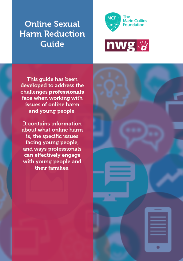 Online Sexual Harm Reduction Guide (Professional's Guide)